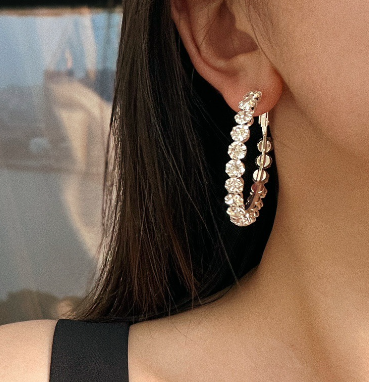 Crystal Earrings - Versatile Stud Earrings